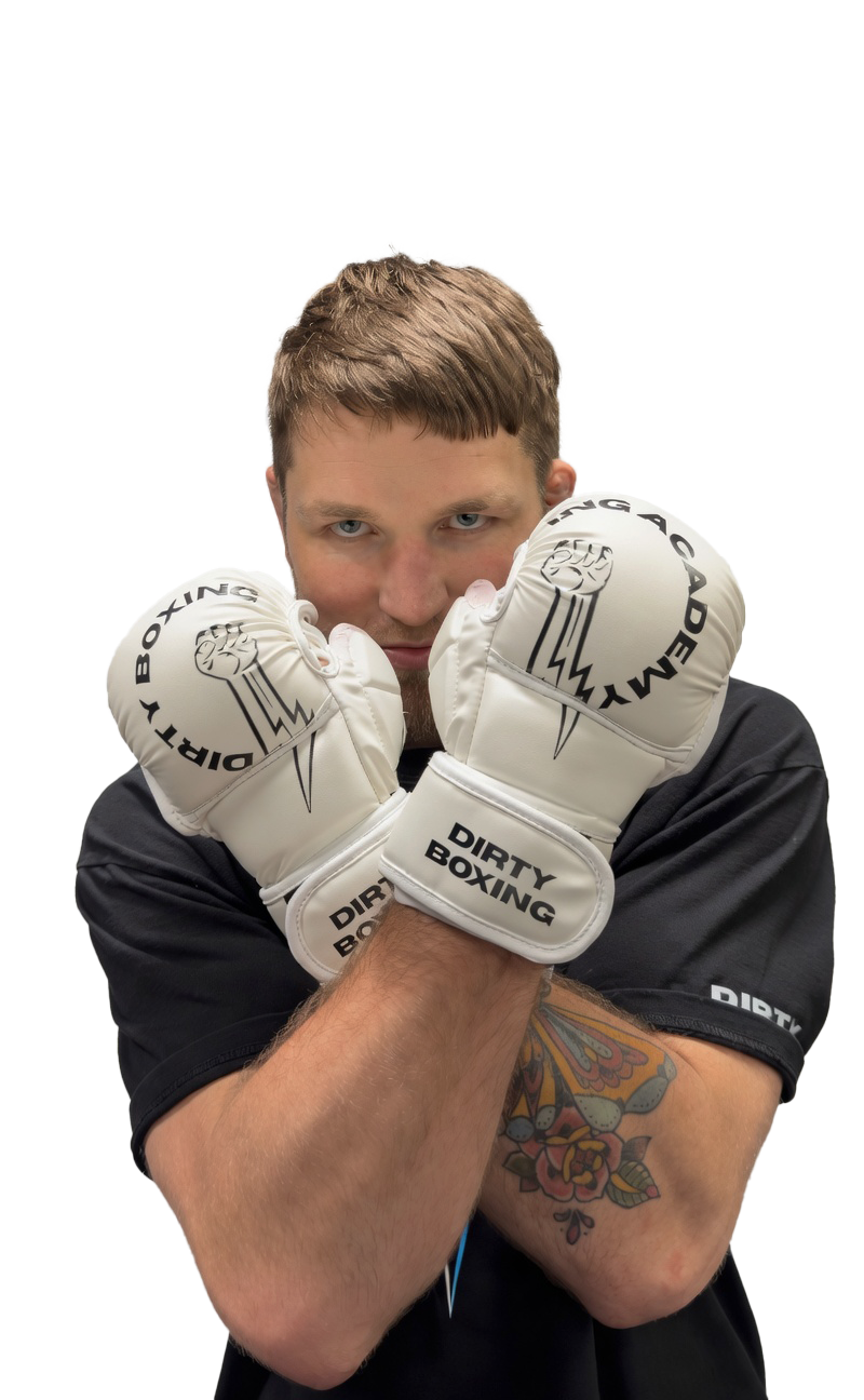 MMA Sparring Rukavice